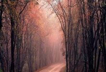 美团团购券核销 API入驻受限？零侵入低成本接口多店与 SaaS 接入